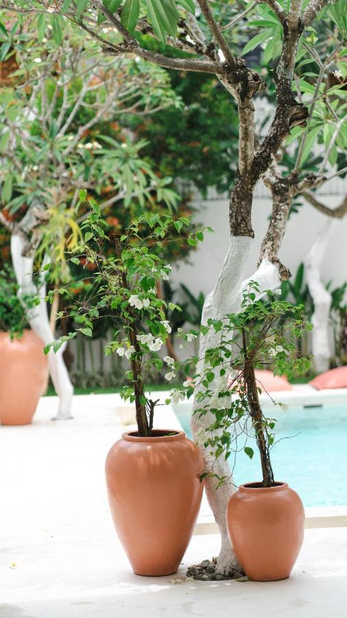 Villa Diola 3 Canggu Kültér fotó